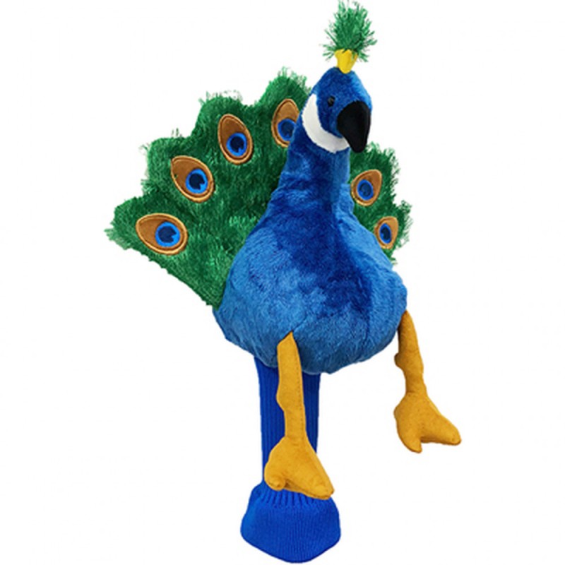 Capuchon Daphné peacock